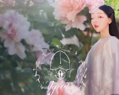 2024年吸脂医院选择指南，如何找到最适合你的整形机构？